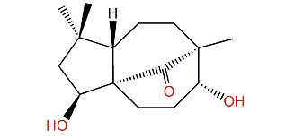 Rumphellclovane E